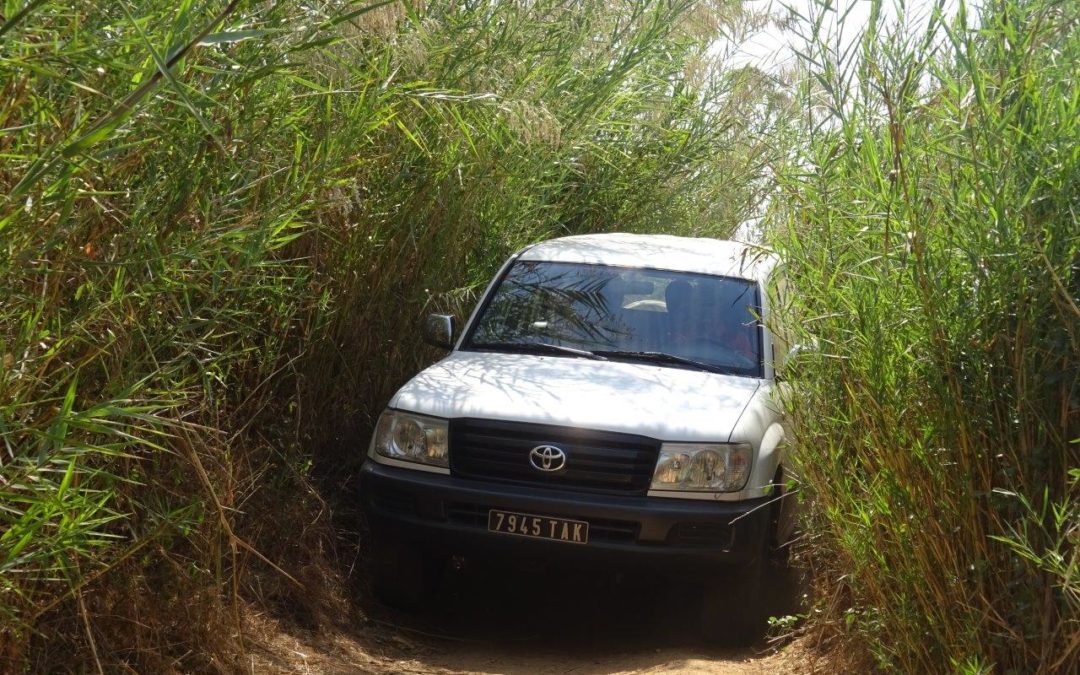 Une nouvelle méthode de traitement préventif à Madagascar