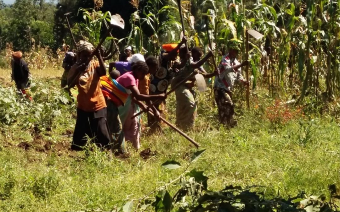 Partenariat avec le Fonds de dotation Compagnie Fruitière