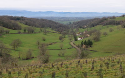 France : L’histoire de trois entrepreneurs en milieu rural