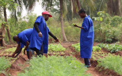 Bénin : Une formation agro-pastorale au service des anciens malades