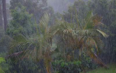 Madagascar : Le cyclone Batsirai a ravagé la côte Est de l’île