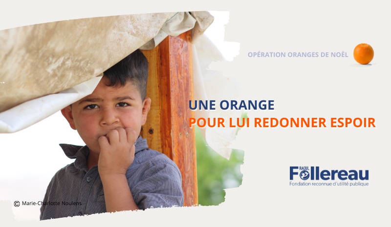 Oranges de Noel